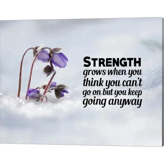 Strength Grows - Flowers in Snow Color by Color Me Happy 20" x 16" Canvas Wall Art {1}