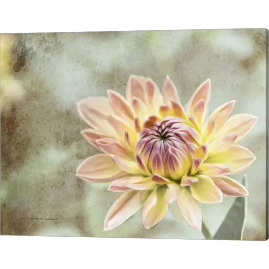 Impression Flower by Jessica Manelis 20" x 16" Canvas Wall Art {1}