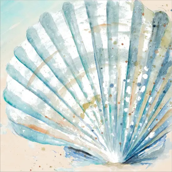 Awashed Shell Square by Patricia Pinto 12" x 12" Canvas Wall Art {2}