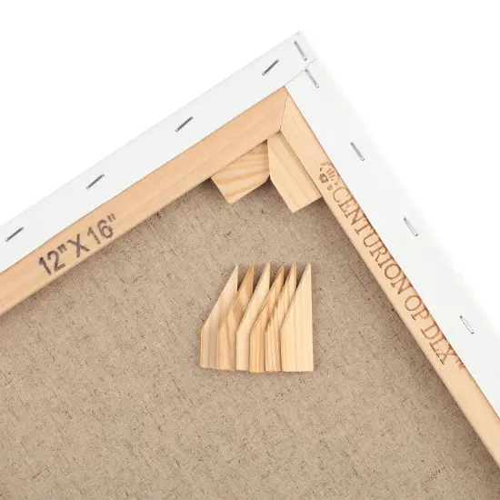 Centurion Deluxe Professional Oil Primed Linen Stretched Canvas, 11oz Linen,Box of 6, 0.67"Deep Canvases, Kiln-Dried Stretchers, Back Stapled, Premium Medium Weight Canvas for Oil Paintings {6}