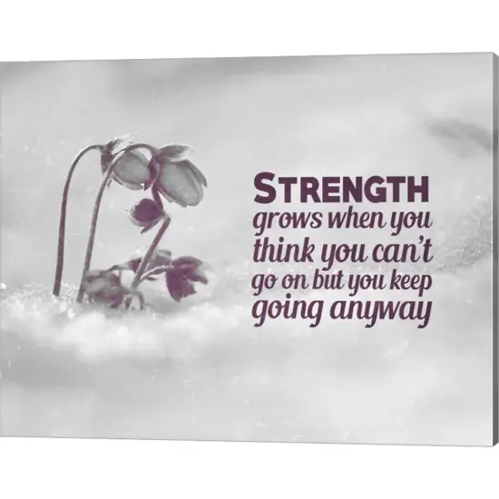 Strength Grows - Flowers in Snow Grayscale by Color Me Happy 20" x 16" Canvas Wall Art {1}