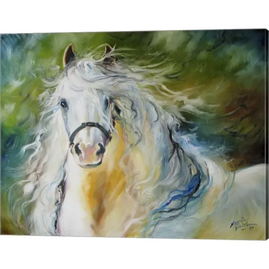 White Cloud The Andlusian Stallion by Marcia Baldwin 20" x 16" Canvas Wall Art {1}