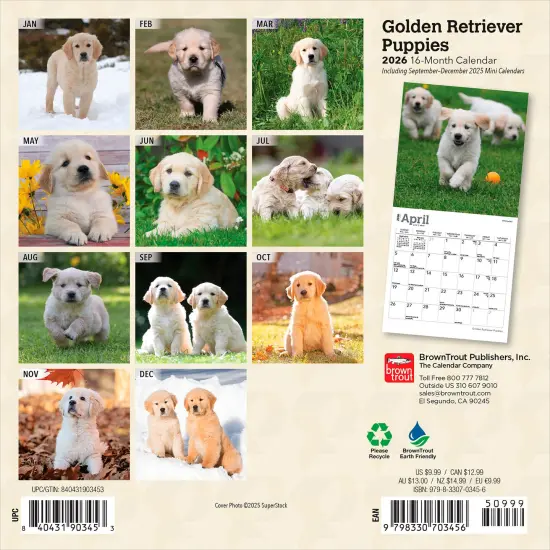 Golden Retriever Puppies | 2026 7 x 14 Inch (Hanging) Monthly Mini Wall Calendar {2}
