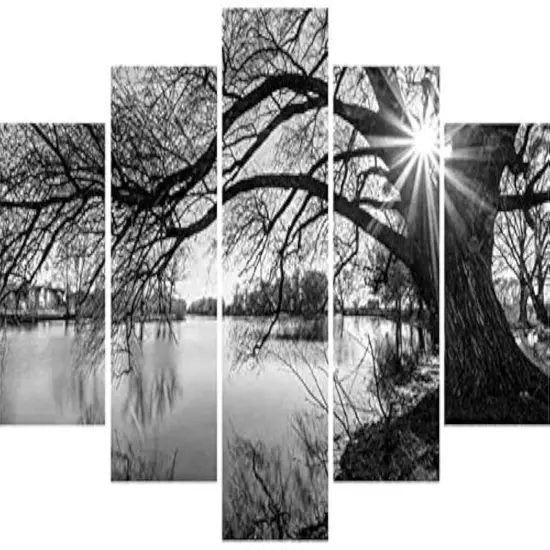 DIY 5D Full Diamond Art Kit,Black and White Tree Lake Surface Sunshine 5 Piece Multi Diamond Art Kits for Adults Paint with Diamonds Kits Diamonds Embroidery by Numbers 17.7x37.4 inch {1}