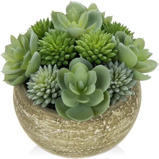 Artificial Succulent Arrangement in Cement Pot Fake Succulent Plant with Modern Gray Bowl Planter Faux Green Succulent for Home Living Room Shelf Desk Table Indoor Decor {1}