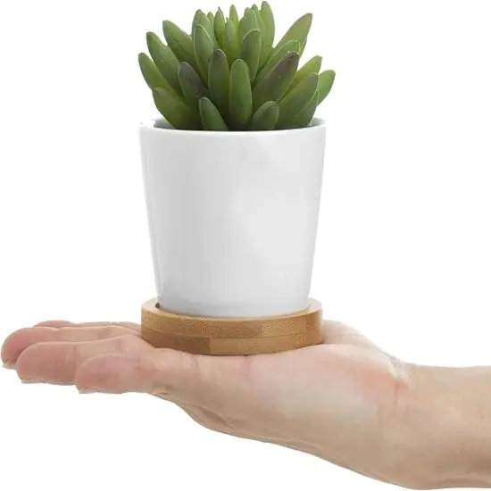 Assorted Artificial Succulent Plants - Decorative Fake Desert Plants with Pebble Fillers in White Ceramic Pots with Bamboo Saucers, Set of 3 {3}
