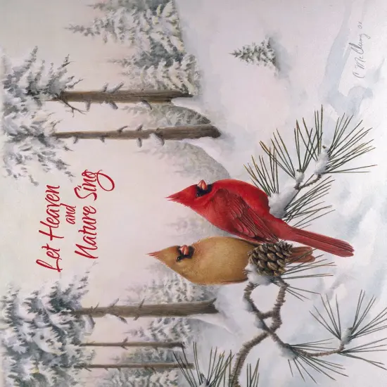 Large Boxed Christmas Card Assortment- Blessings of Christmas - 24 cards and envelopes {5}