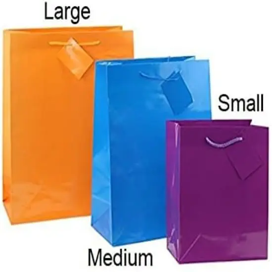 12 Assorted (13" h x 10" w x 4 1/2" d) Bright Neon Colored Party Present Paper Gift Bags {2}