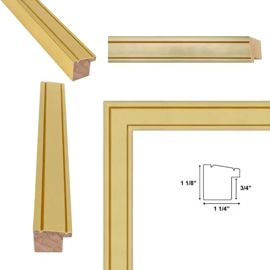Modern Bright Gold Metal Picture Frame 36x48 frame {5}