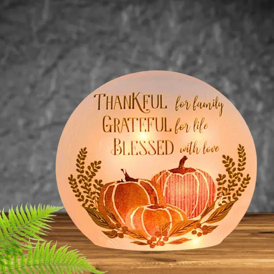 Stony Creek 6.5 Inch Beautiful Bounty Pre-Lit Orb Thanksgiving Lighted Glass Accent , Thanksgiving Decor Autumn Thanksgiving THANKFUL {4}