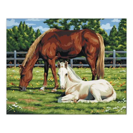 PCL2 | Painting by numbers&trade; 13pc 11" x 14" Horses in Field Canvas Painting Project {2}