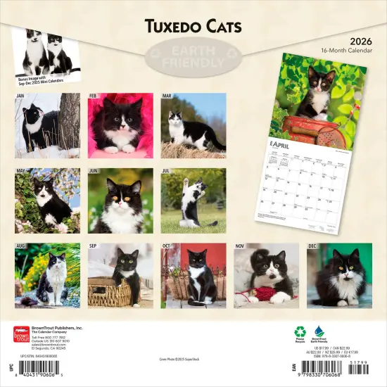 Tuxedo Cats | 2026 12 x 24 Inch (Hanging) Monthly Square Wall Calendar | Plastic-Free {2}