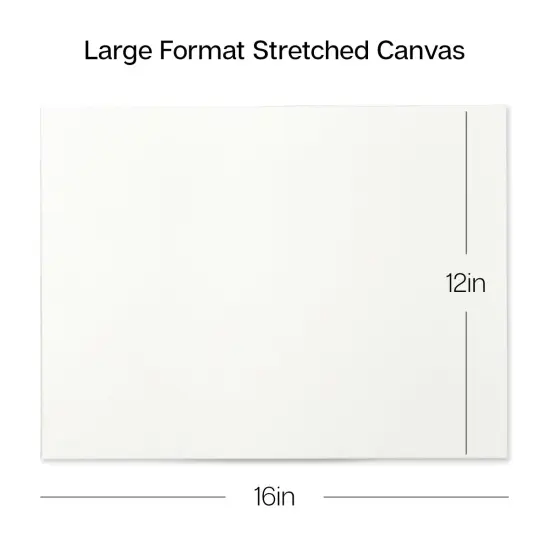 KINGART&reg; Stretched Canvas 12" x 16", 6-Pack {3}