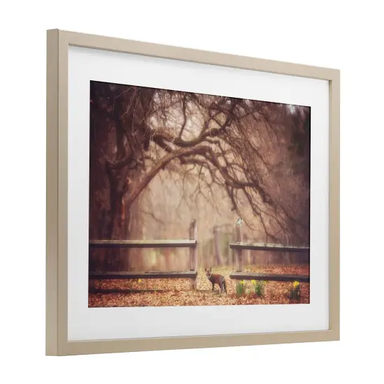 Sly Guy Fox in Forest Framed Print Under Glass Art Brown {3}