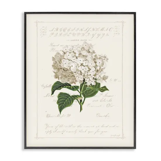 Stupell Industries Vintage Floral Motif Framed Giclee By Jennifer Pugh {7}