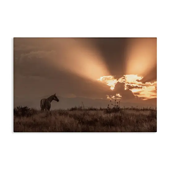 Stupell Industries Faded Sunset with Horse Canvas Wall Art Design by Nathan Larson {1}