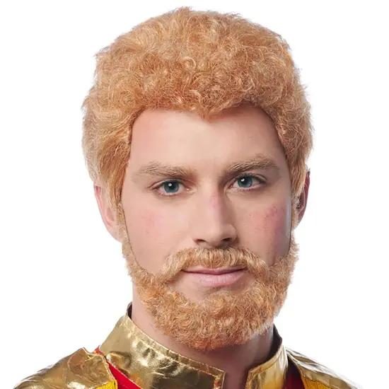 Prince Wig and Beard Adult Costume Accessories {1}