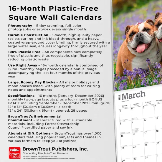 Bulldogs | 2026 12 x 24 Inch (Hanging) Monthly Square Wall Calendar | Plastic-Free {6}
