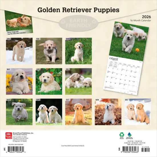 Golden Retriever Puppies | 2026 12 x 24 Inch (Hanging) Monthly Square Wall Calendar | Plastic-Free {2}