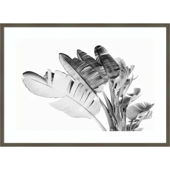 Tropical Velvet I - BW by Ryan Hartson Weddle Wood Framed Wall Art Print {1}