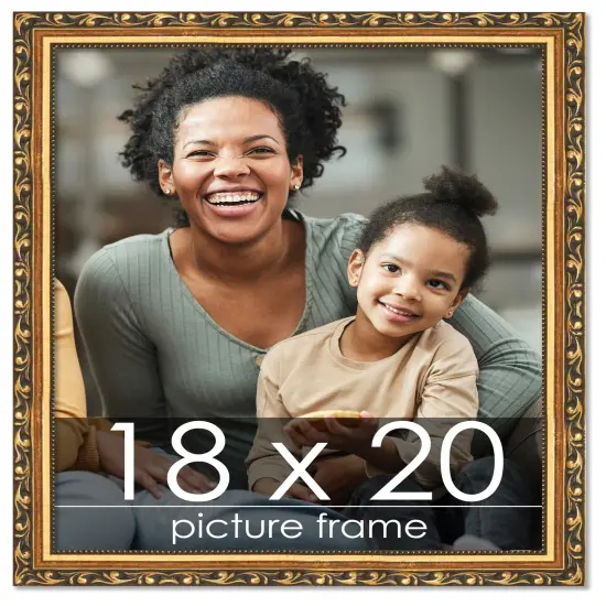 18x20 Museum-Quality Picture Frame with UV-Resistant Acrylic & Acid-Free Backing, Available in 4 Finishes - Gold, Silver, Bronze, and Black {1}
