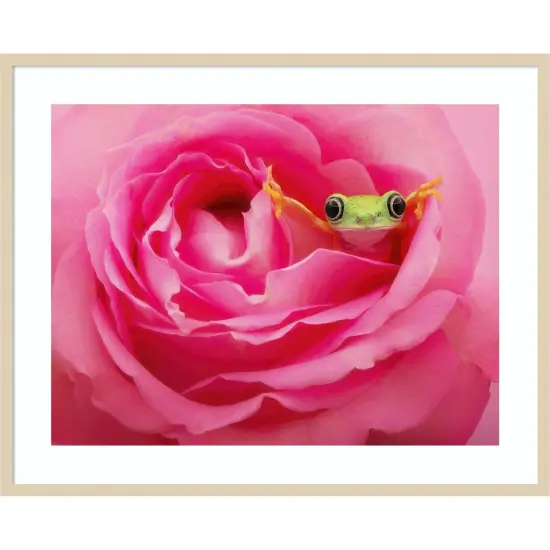 Hanging On VIII by PHBurchett Wood Framed Wall Art Print {1}