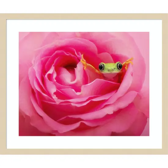 Hanging On VIII by PHBurchett Wood Framed Wall Art Print {7}