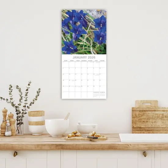 The Gifted Stationary 2026 Square Wall Calendar, Wild Flowers, 16-Month Floral Theme Hanging Calendar with 180 Reminder Stickers, Month Planner for Home and Creative Spaces, 12x12 In Multicolor {2}