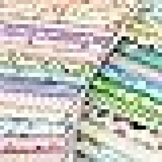 Cotton Precut Quilt Sewing Floral Fabrics for Craft DIY {2}