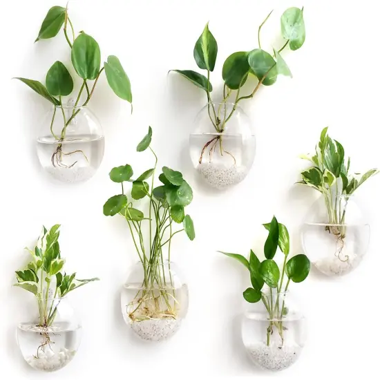 Wall Hanging Glass Terrarium Oblate Planter Vase for Hydroponics Plants {2}