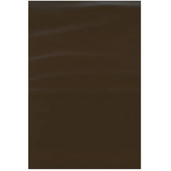 Plymor 12" x 18", 2 Mil Flat Open Amber UV Plastic Poly Bags {1}