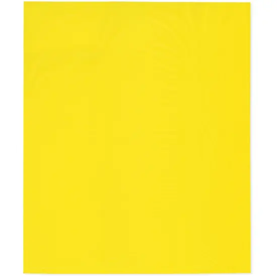 Plymor 15" x 18", Yellow 2 Mil Flat Open Plastic Poly Bags {1}