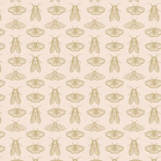 Emerging Wings in Frost (spe68303) | Spring Equinox | Katie O'Shea | Art Gallery {1}