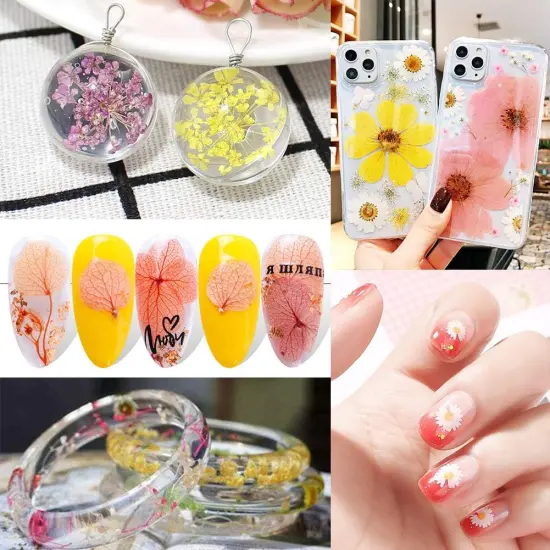 170Pcs+ Real Dried Pressed Flowers Leaves Petals for Crafts-Beautiful Pressed Flowers Daisies for Resin Jewellery {3}