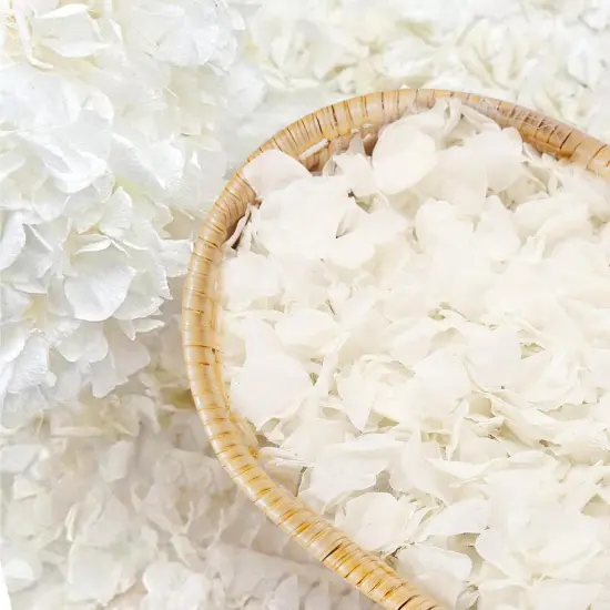 1500pcs Real Dried Ivory White Hydrangea Flower Petals, Natural Dried Petals for Wedding Decor, Valentine's Day, Proposal & Romantic Night {1}