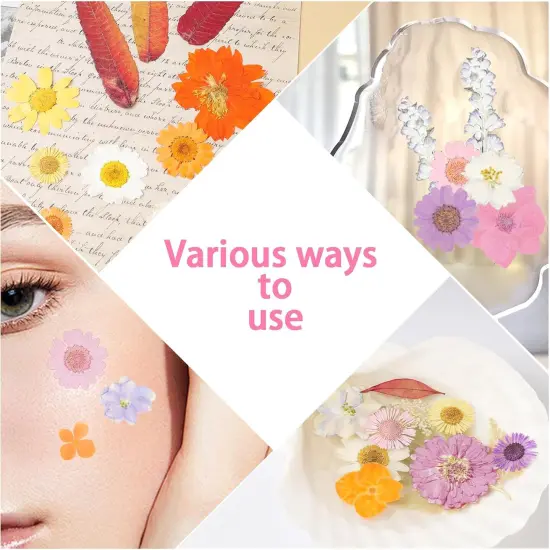 120Pcs Dried Pressed Flowers - (Delicate Color) {3}