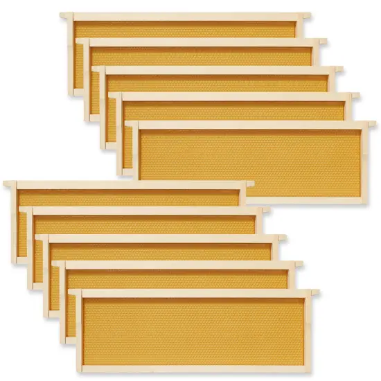 Honey Keeper 10 Assembled Beehive Frames with Waxed Natural Foundations for Beekeeping, 6-1/4 inch {1}