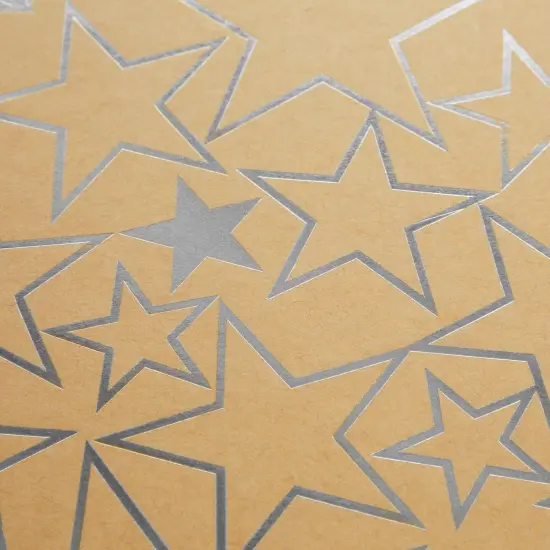 Set of 10 Nesting Gift Boxes with Lids, Cardboard Box with Silver Foil Star Designs (10 Sizes) Brown {7}