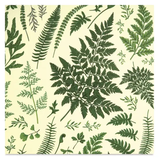 Elan Transfers Overglaze Decal Sheet - Ferns {1}
