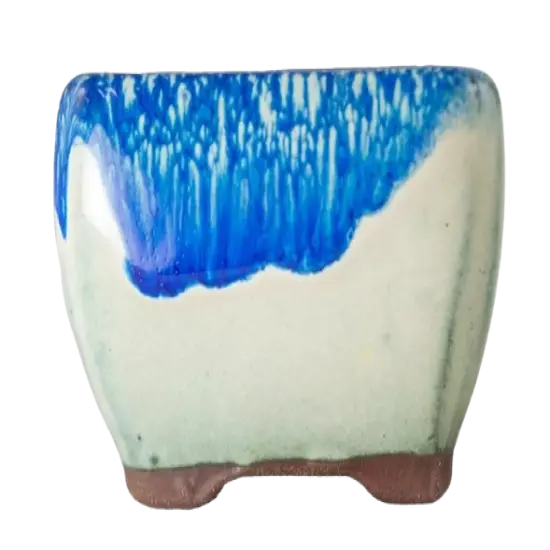 Square Mame Shohin Bonsai Pot, Cactus & Succulent Planter with Mesh 3"x 3"x 2" {2}