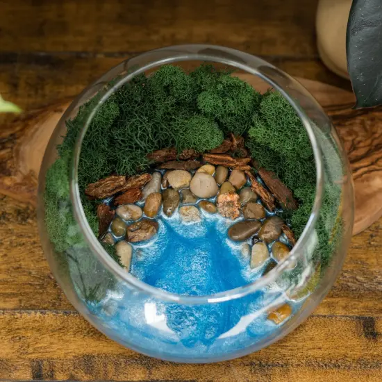 Resin Terrarium Kit {1}