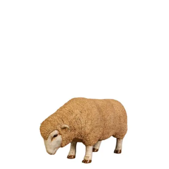 Baby Merino Ewe Head Down Life Size Statue {1}