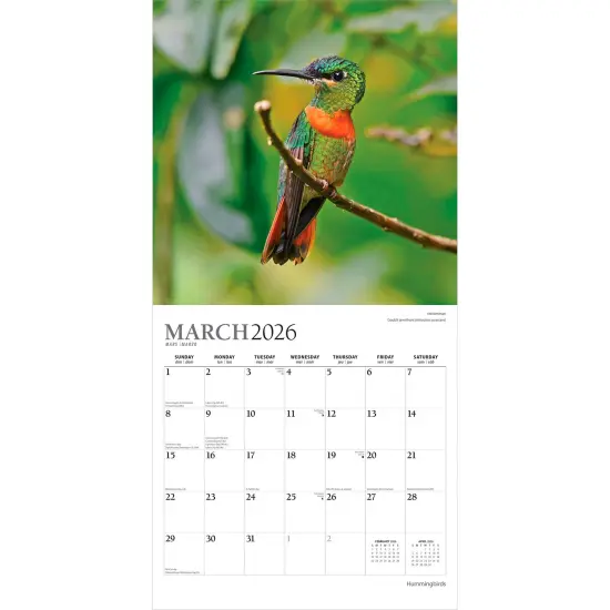 Hummingbirds | 2026 12 x 24 Inch (Hanging) Monthly Square Wall Calendar | Foil Stamped Cover {3}