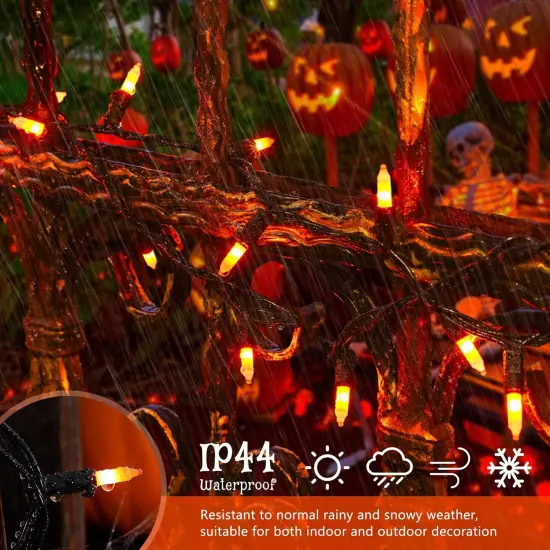 Orange Halloween Lights - 50 Count {3}