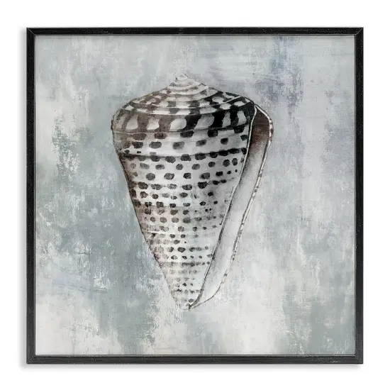 Stupell Industries Organic Cowrie Shell Framed Giclee Wall Art Design by Eli Jones {7}