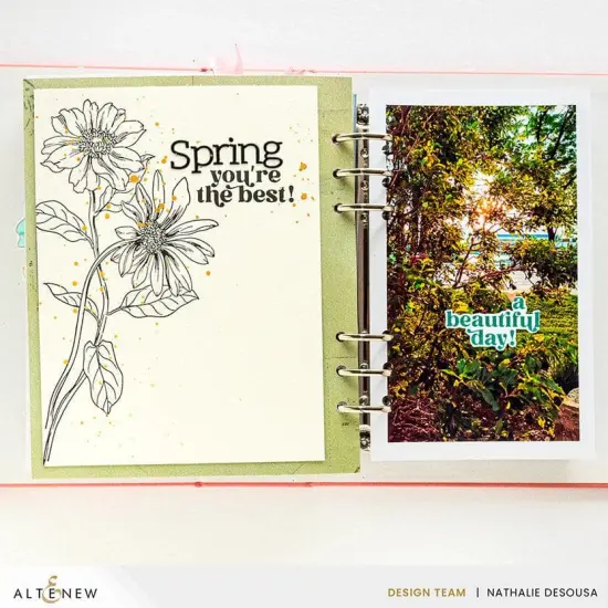 Wild Daisies Press Plate Set {3}
