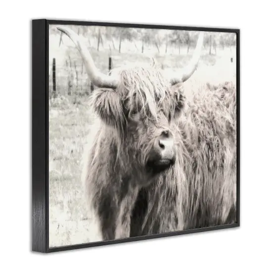 Stupell Industries Highland Cow Gazing Portrait Framed Giclee Wall Art Design by Graffi*tee Studios {3}