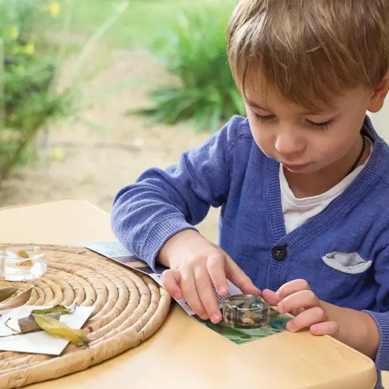 Kaplan Early Learning Company Specimen Life Cycle Puzzles: Moth {6}