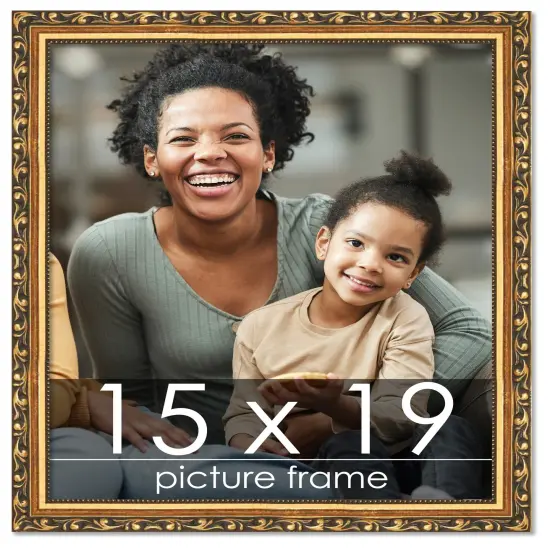 15x19 Museum-Quality Picture Frame with UV-Resistant Acrylic & Acid-Free Backing, Available in 4 Finishes - Gold, Silver, Bronze, and Black {1}