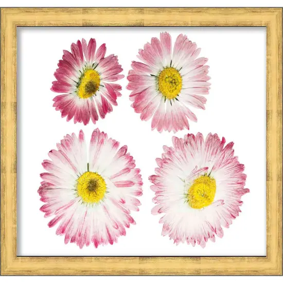 Panoramic Shadow Box 1.5" Depth Gold Picture Frame - UV Acrylic, Backing, Hanging Hardware {6}